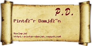 Pintér Damján névjegykártya
